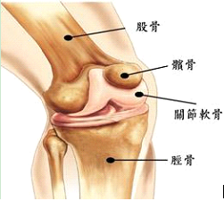 QQ截图20140914221031.png